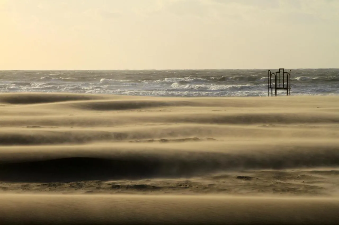 Villa Les Paquerettes Ostend Bed & Breakfast